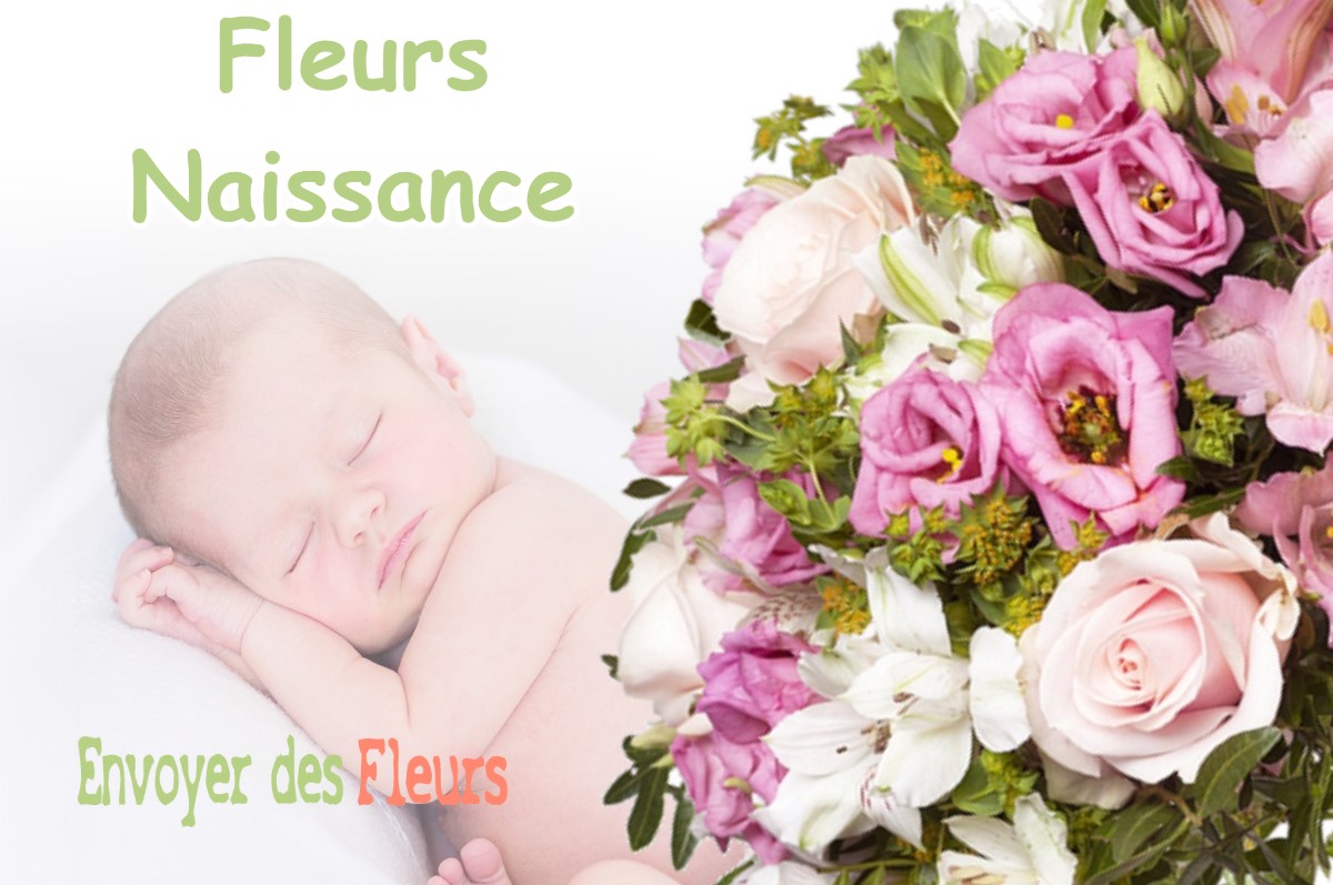 lIVRAISON FLEURS NAISSANCE à MONTMIREY-LA-VILLE