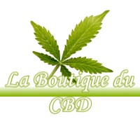 LA BOUTIQUE DU CBD MONTMIREY-LA-VILLE 